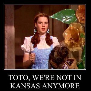 Please 🌈 follow me!